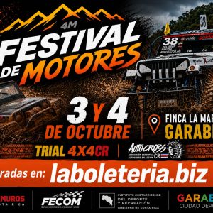 6 ENTRADAS  INDIVIDUALES